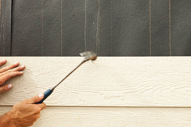 Best Steel Siding Installation  in Ocoee, FL
